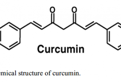 Curcumin với ung thư gan